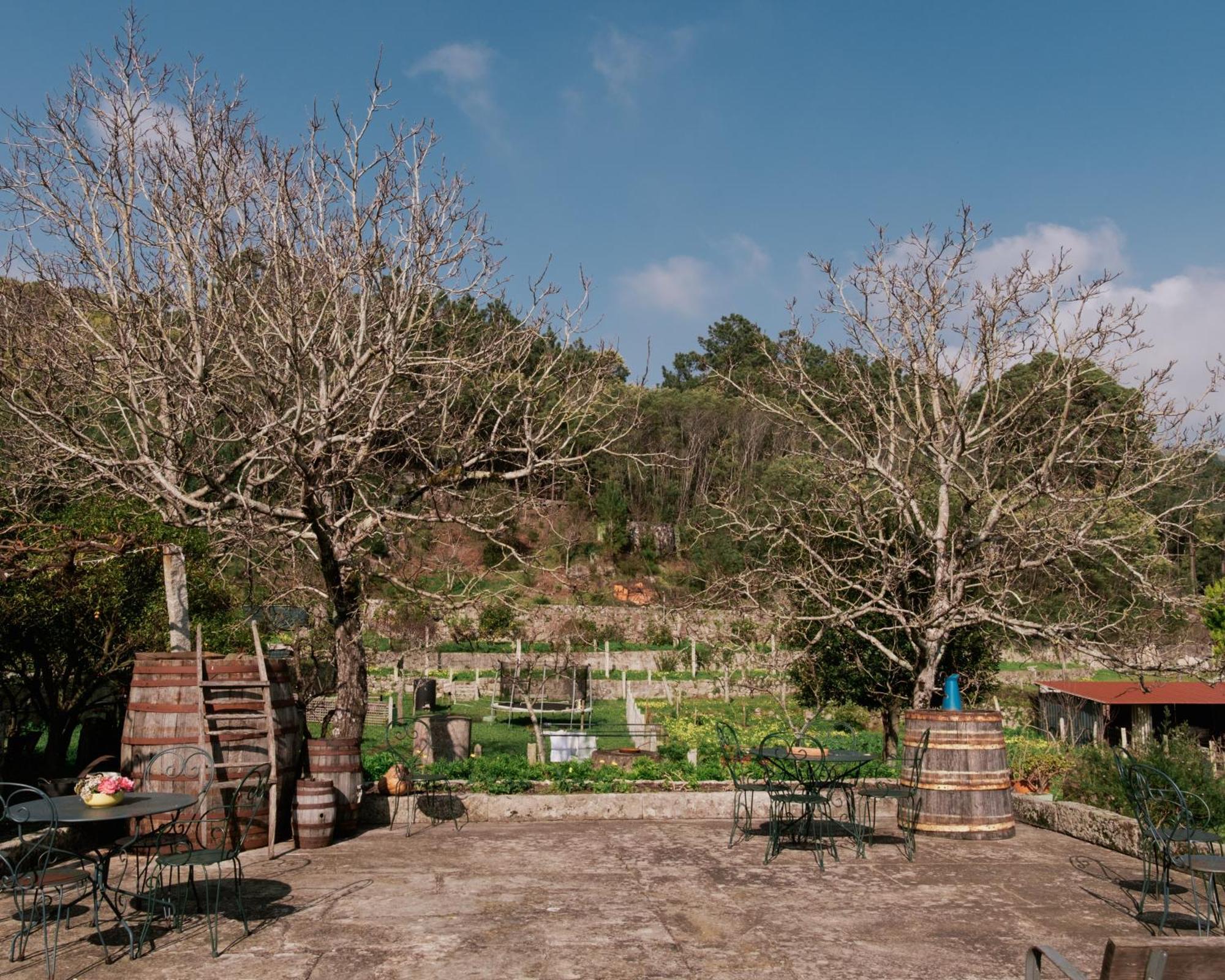 Quinta Da Quinhas Villa Vila Praia de Âncora Buitenkant foto